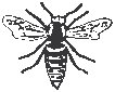 Wasp.eps