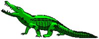 Alligator.eps
