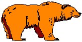 Bear 1.eps