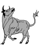 Bull 3.eps
