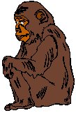Chimp.eps
