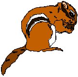 Chipmunk.eps