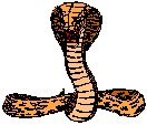Cobra.eps