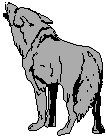 Coyote.eps