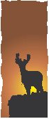 Deer - Graphic 1.eps