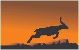 Deer - Graphic 2.eps