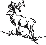 Deer 2.eps