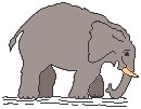 Elephant 1.eps