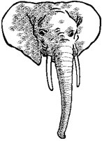 Elephant Head.eps