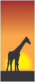 Giraffe - Graphic.eps