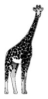 Giraffe 1.eps