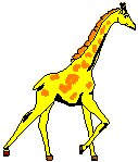 Giraffe 3.eps