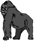 Gorilla.eps