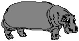 Hippo.eps