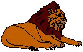 Lion 11.eps