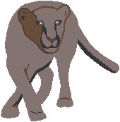 Lioness 1.eps