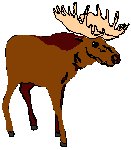 Moose.eps