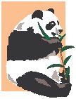 Panda 1.eps