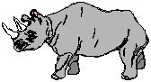 Rhino.eps