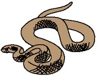 Snake.eps