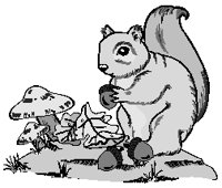 Squirrel with Acorn.eps