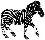 Zebra 4.eps
