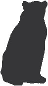 Bear 2.eps