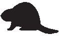 Beaver 2.eps