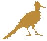 Bird 2.eps