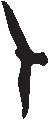 Bird 4.eps