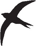 Bird 5.eps