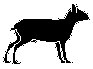 Calf.eps