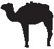 Camel 2.eps
