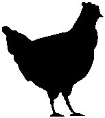 Chicken.eps
