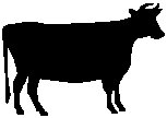 Cow.eps