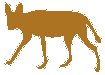 Coyote 1.eps