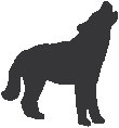 Coyote 2.eps