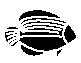 Fish 4.eps