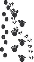 Footprints.eps