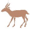 Gazelle.eps