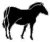 Horse 2.eps