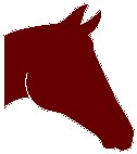 Horse Head.eps