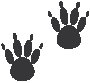 Pawprint 1.eps