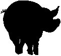 Pig 1.eps