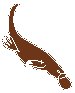 Platypus.eps