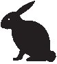 Rabbit 1.eps