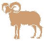 Ram.eps