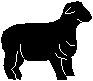 Sheep.eps