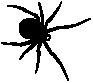 Spider.eps
