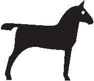 Unicorn 1.eps